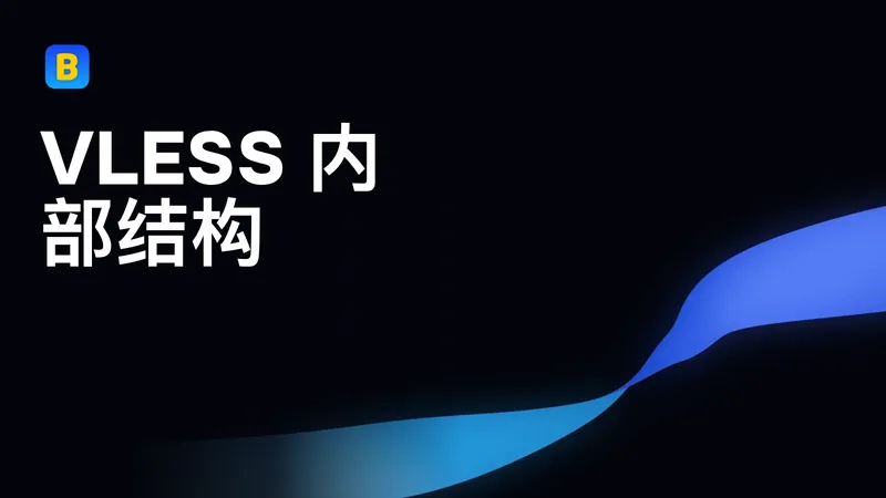 VLESS 内部结构